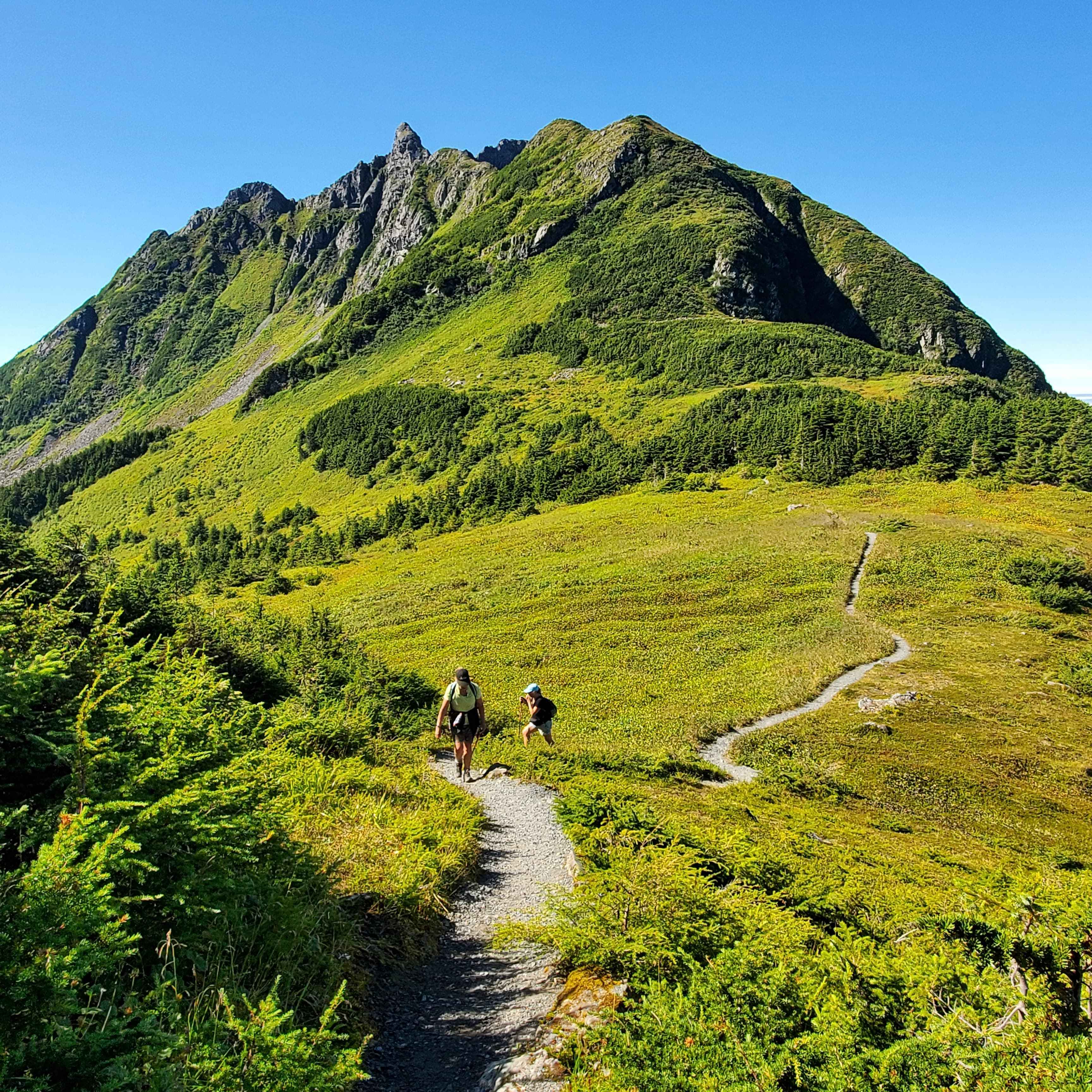 Hikers on an alpine trail near Sitka